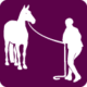 Logo Equifeel
