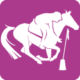 Logo Pony Games