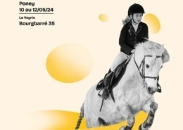 Championnat de Bretagne CSO Poney