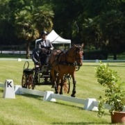 concours attelage des 1er et 02 juin à Hennebont