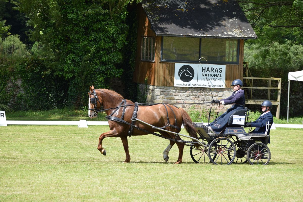 concours attelage des 1er et 02 juin à Hennebont