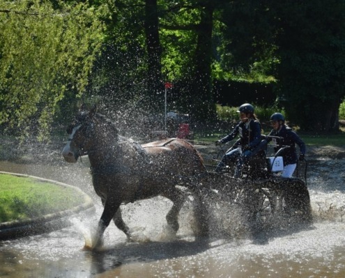 concours attelage des 1er et 02 juin à Hennebont