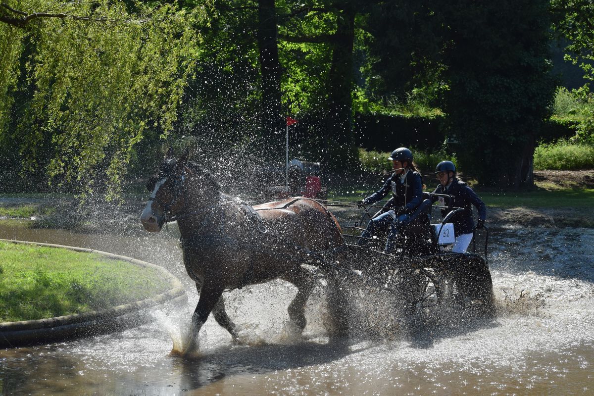 concours attelage des 1er et 02 juin à Hennebont