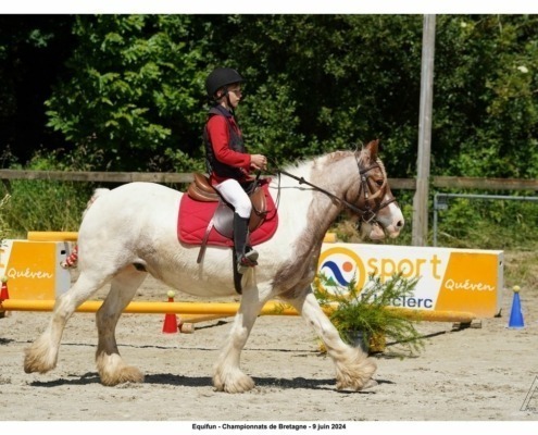 Championnat de Bretagne d’équifun