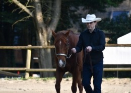 épreuve Showmanship club 1, M. Yannick GUENNEC
