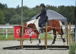 équitation de travail