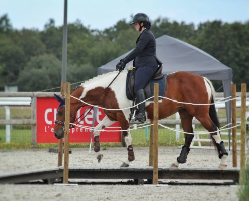 équitation de travail