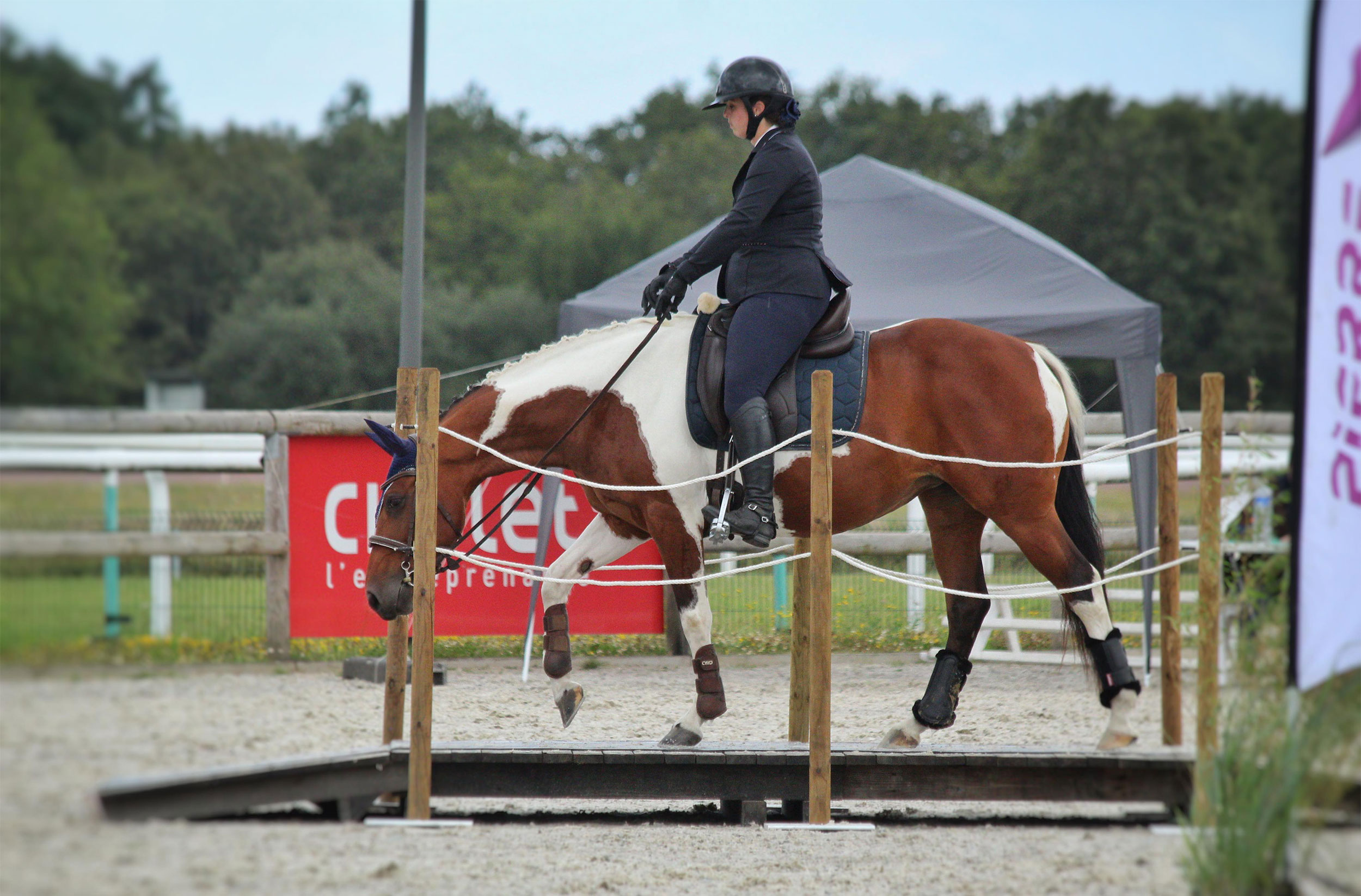 équitation de travail