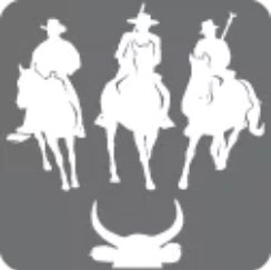 équitation de travail