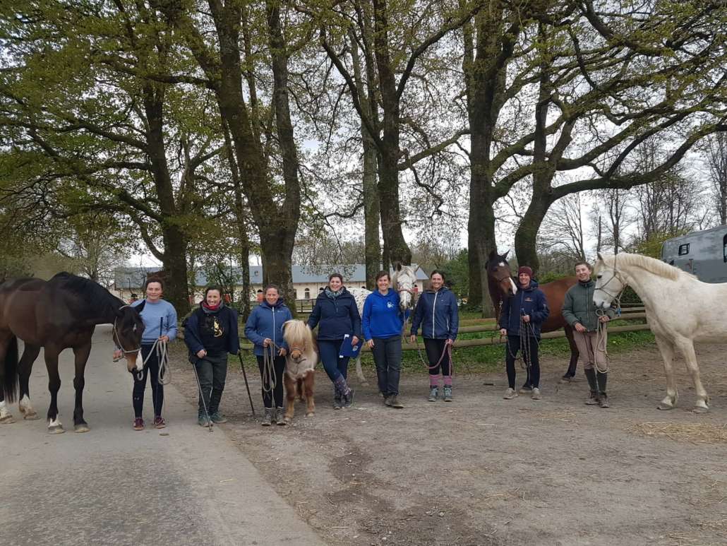 0057b00b-b690-4a15-a847-c6de6caacdce Equifeel