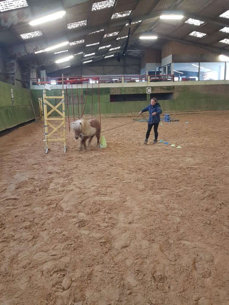 4365e2e8-32a0-4fc8-a5d6-c603de745397 equifeel