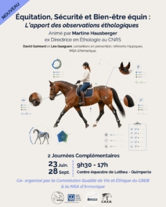 Equitation, sécurité et bien-être équin @ CE de Lothéa (Kemperlé Equitation)